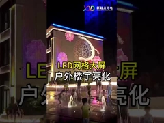 Εσωτερικός P100 Ευέλικτη οθόνη οθόνης LED με δίχτυ LED Dot Light Διαφανής