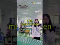T20-2LEDs Mesh LED Pixel Screen CE RoHS FCC Εξωτερικό Διαφανές Μεγάλη φωτεινότητα