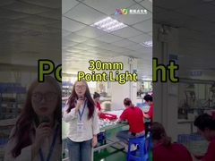 Πλήρες χρώμα LED σημειακά φώτα τοπίου Smd5050 IP67 24v Για φωτισμό διακοπών
